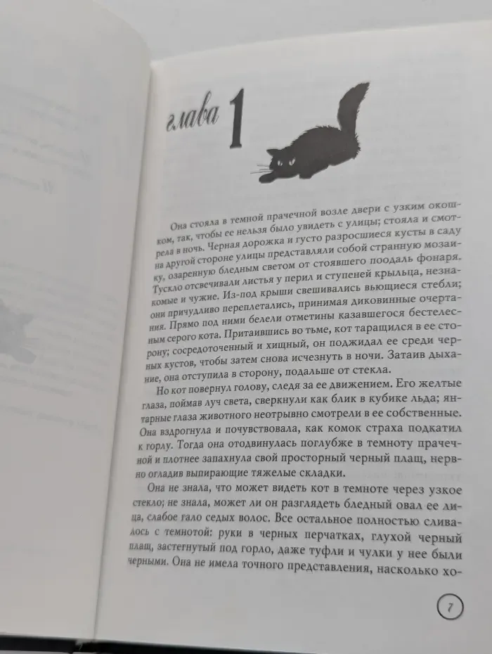 РосКошный детектив. Кот стоит насмерть