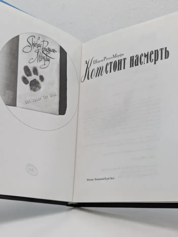 РосКошный детектив. Кот стоит насмерть
