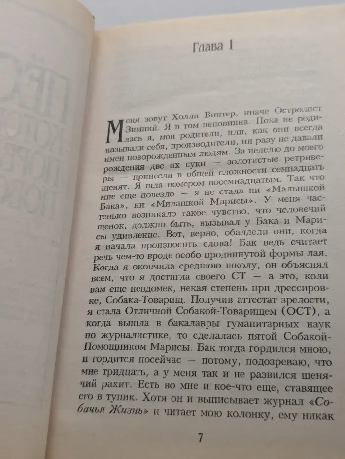 Новый детектив. Пес, который порвал поводок