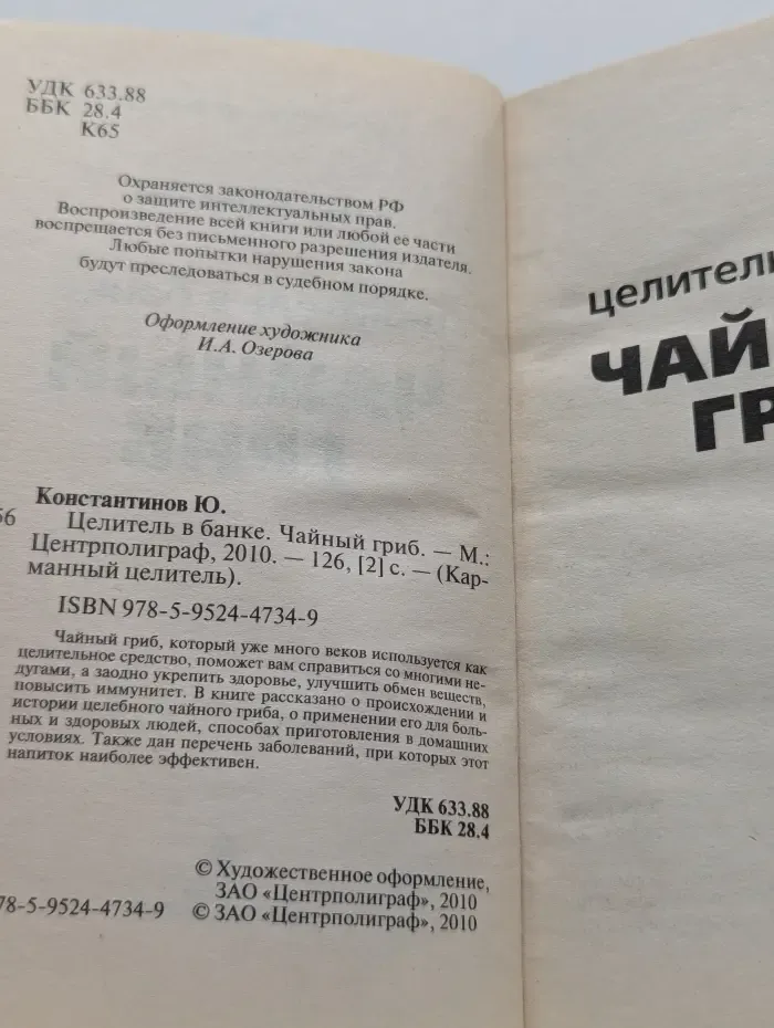 Карманный целитель. Целитель в банке. Чайный гриб
