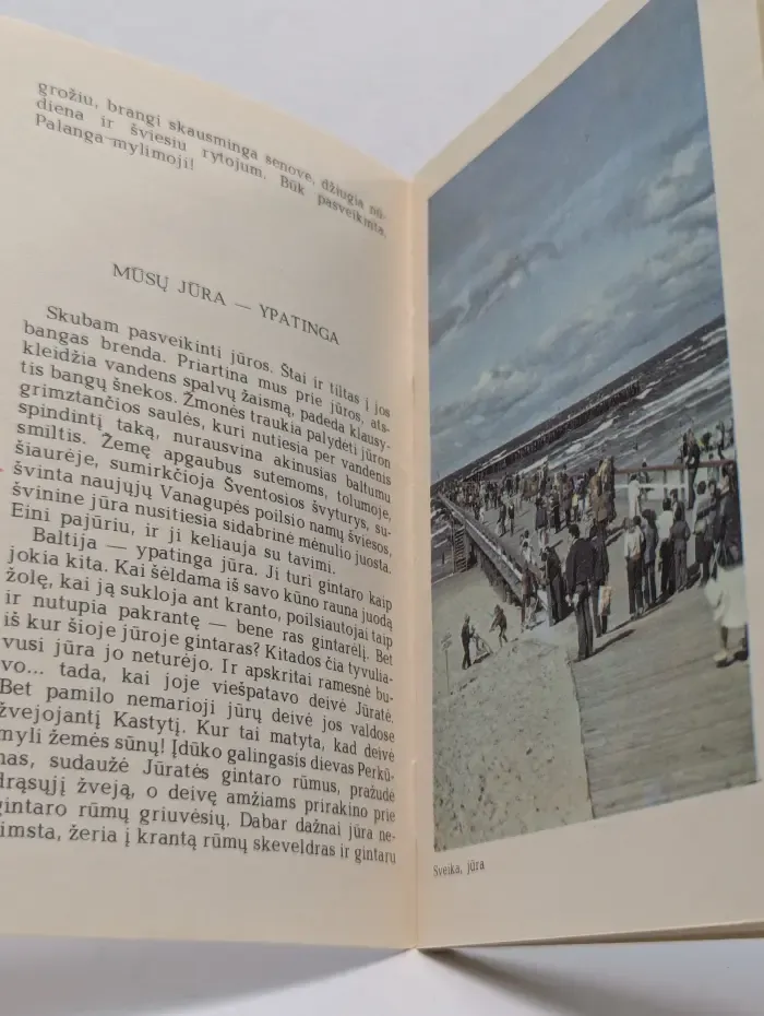 Palanga: Svarbiausios žinios