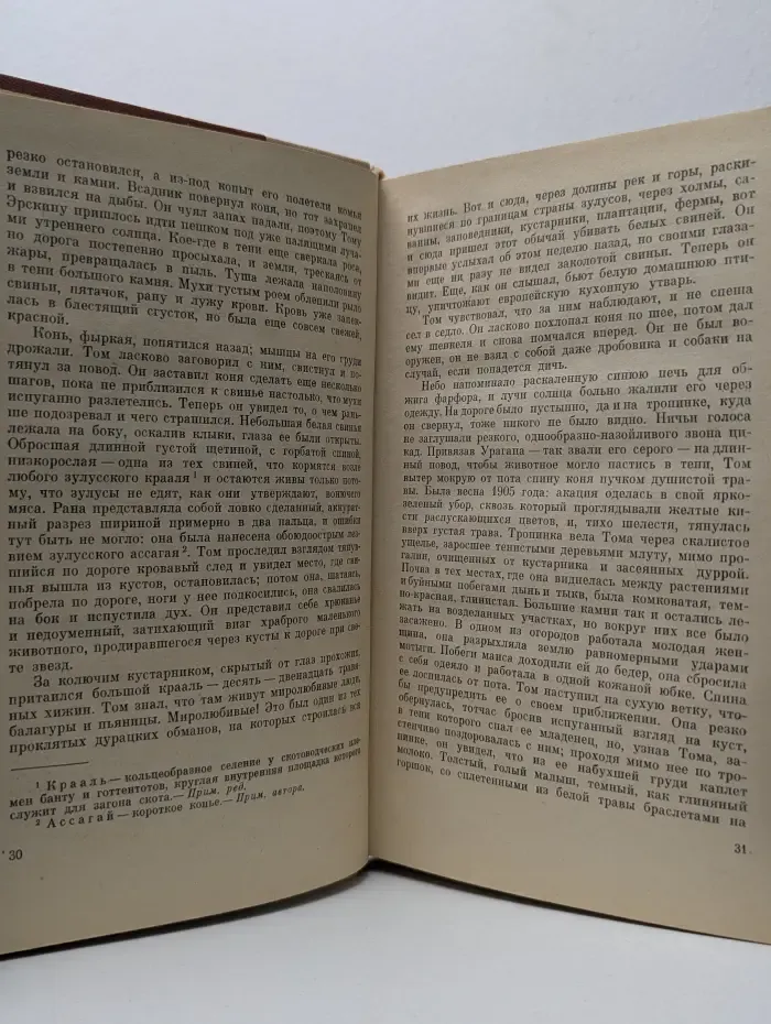 Библиотека исторического романа. Прекрасный дом