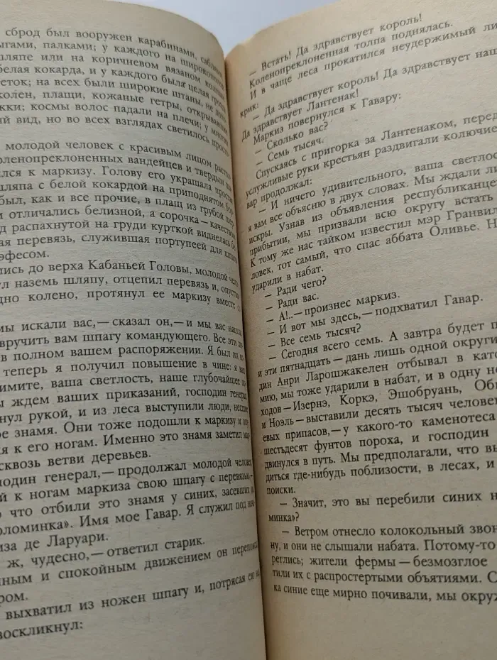 Библиотека зарубежной классики. Девяносто третий год