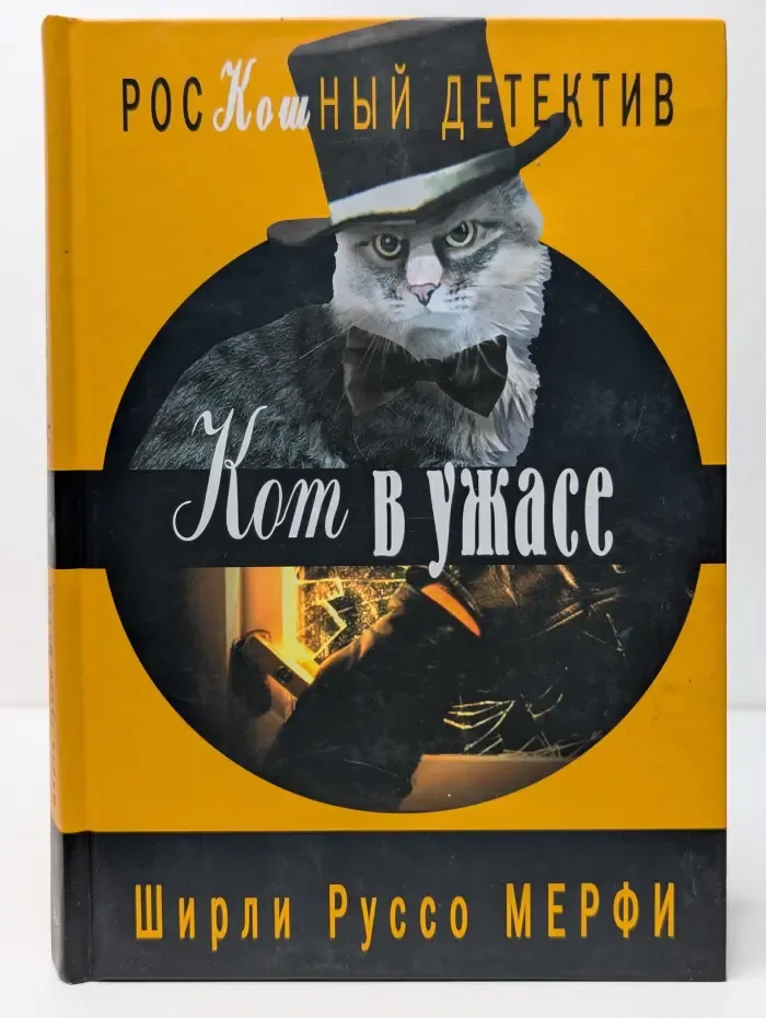 Кот в ужасе