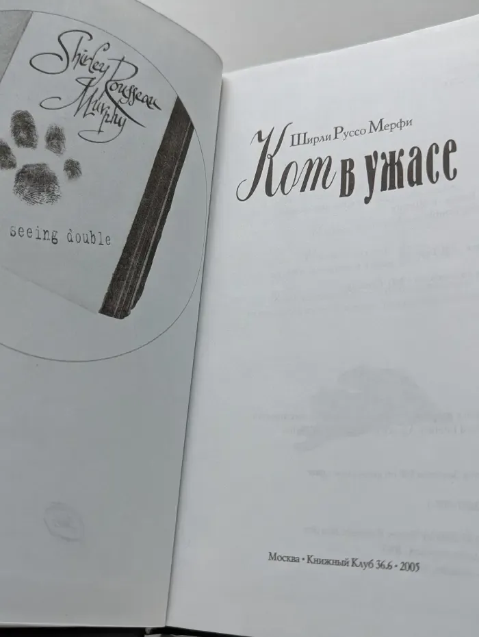 Кот в ужасе