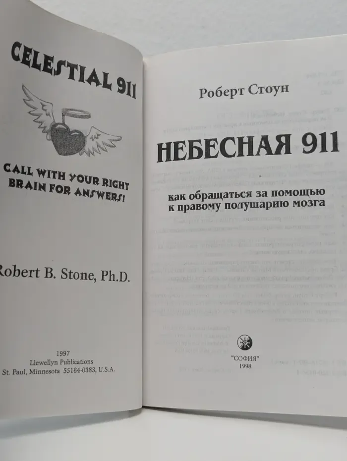 Небесная 911