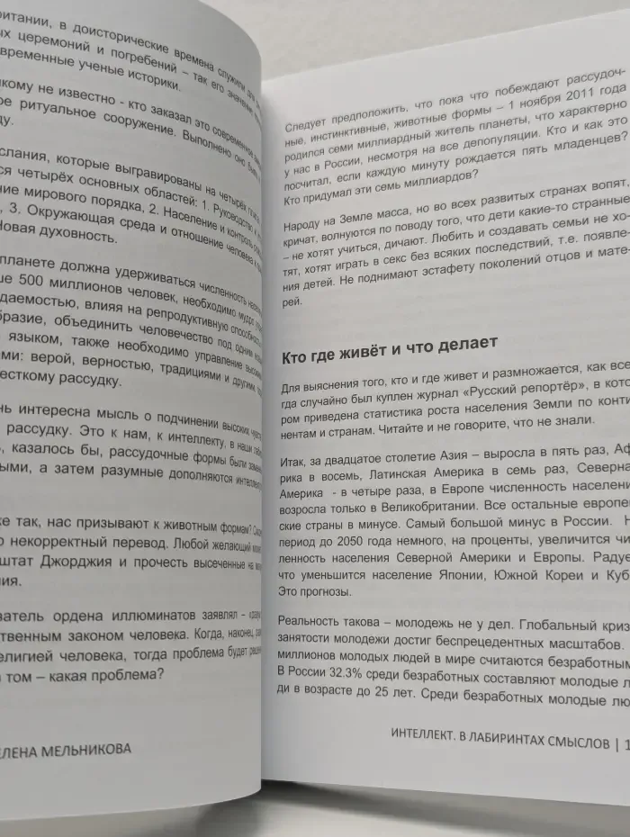 Интеллект. В лабиринтах смыслов