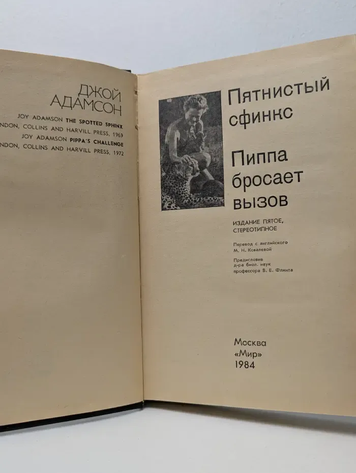 Пятнистый сфинкс. Пиппа бросает вызов