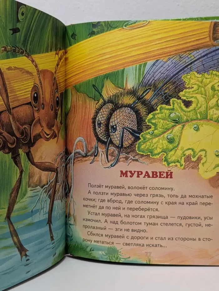 Сорочьи сказки