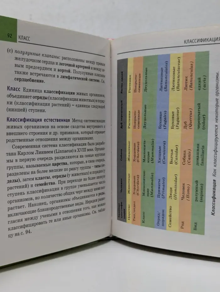 Мини энциклопедия. Биология: Справочник