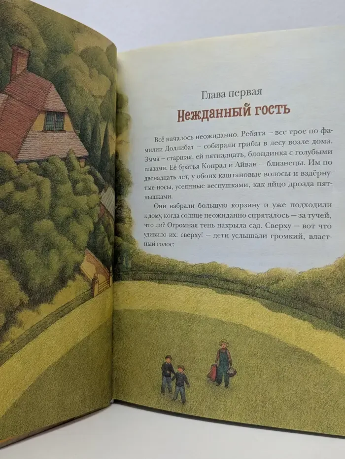 Летающий дом