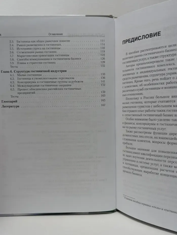 Гостиничный бизнес и индустрия размещения туристов