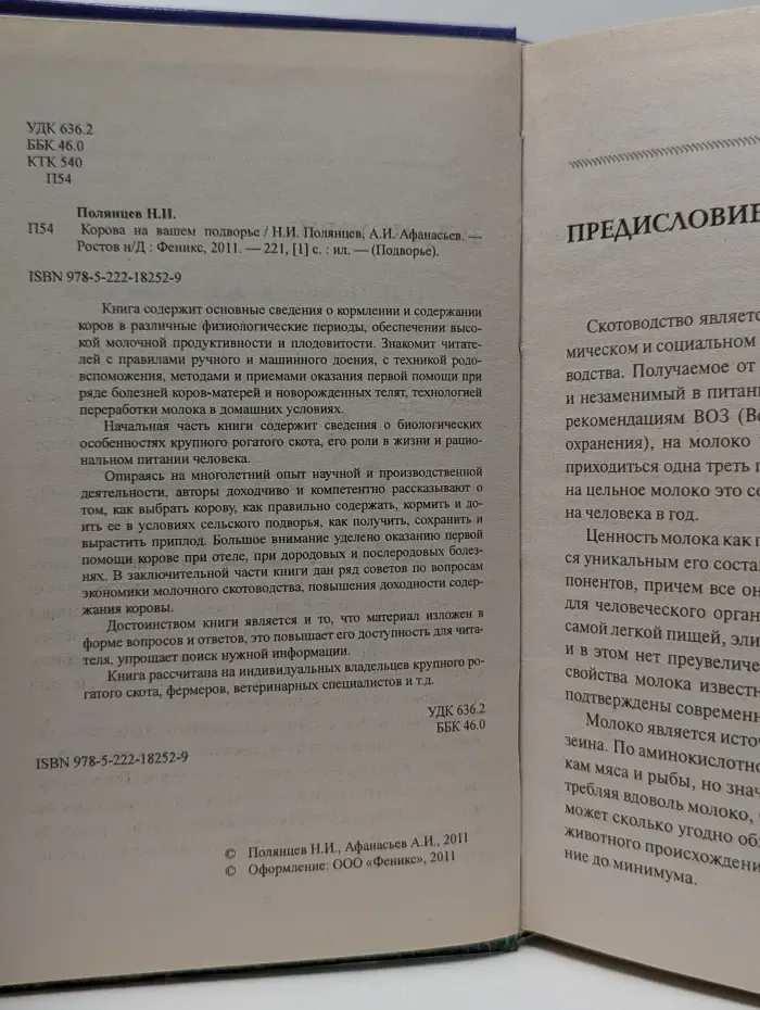 Подворье. Корова на вашем подворье