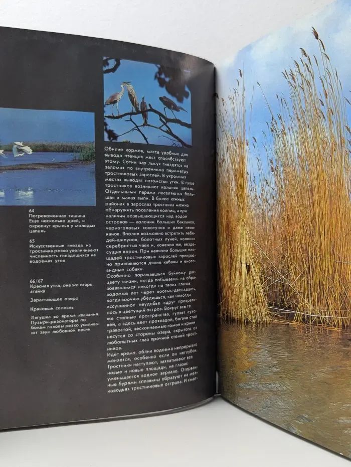 Острова жизни. Islands of Wild Life