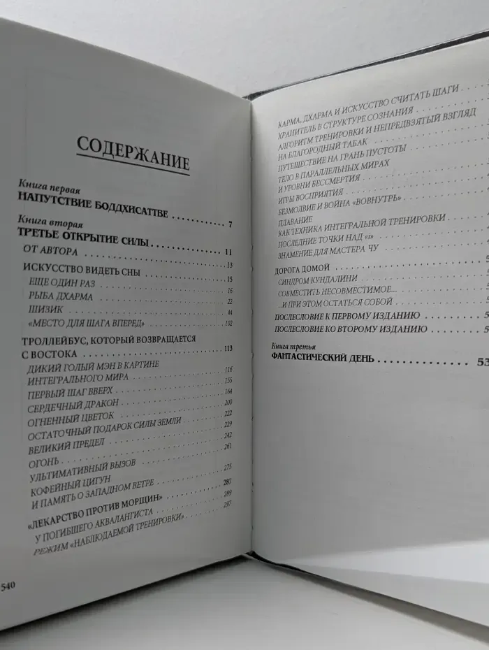 DINT. Выпуск № 1. Третье открытие силы