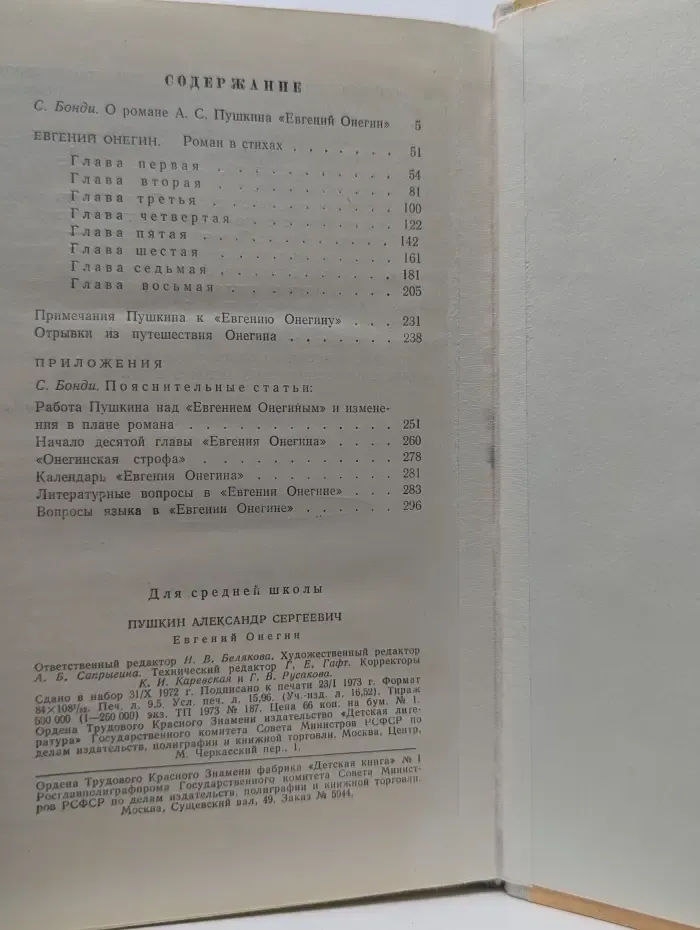 Школьная библиотека. Евгений Онегин