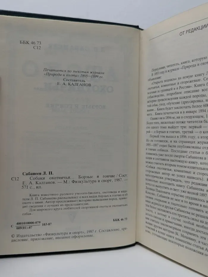 Собаки охотничьи. Борзые и гончие