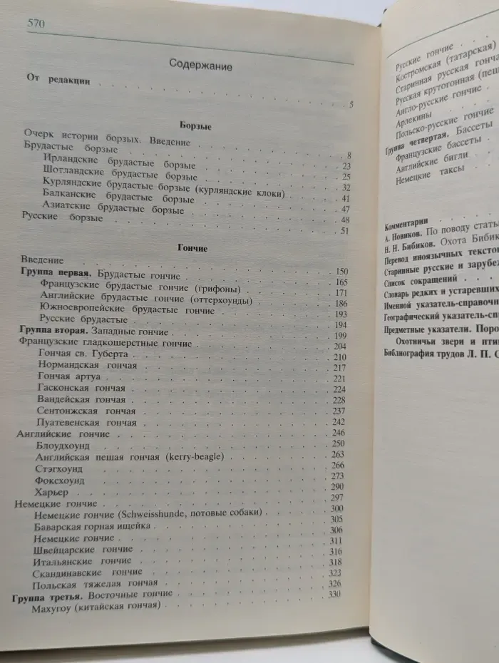 Собаки охотничьи. Борзые и гончие