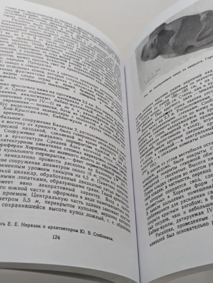 По древним дельтам Окса и Яксарта