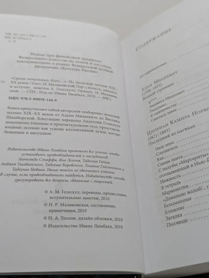 Среди печальных бурь