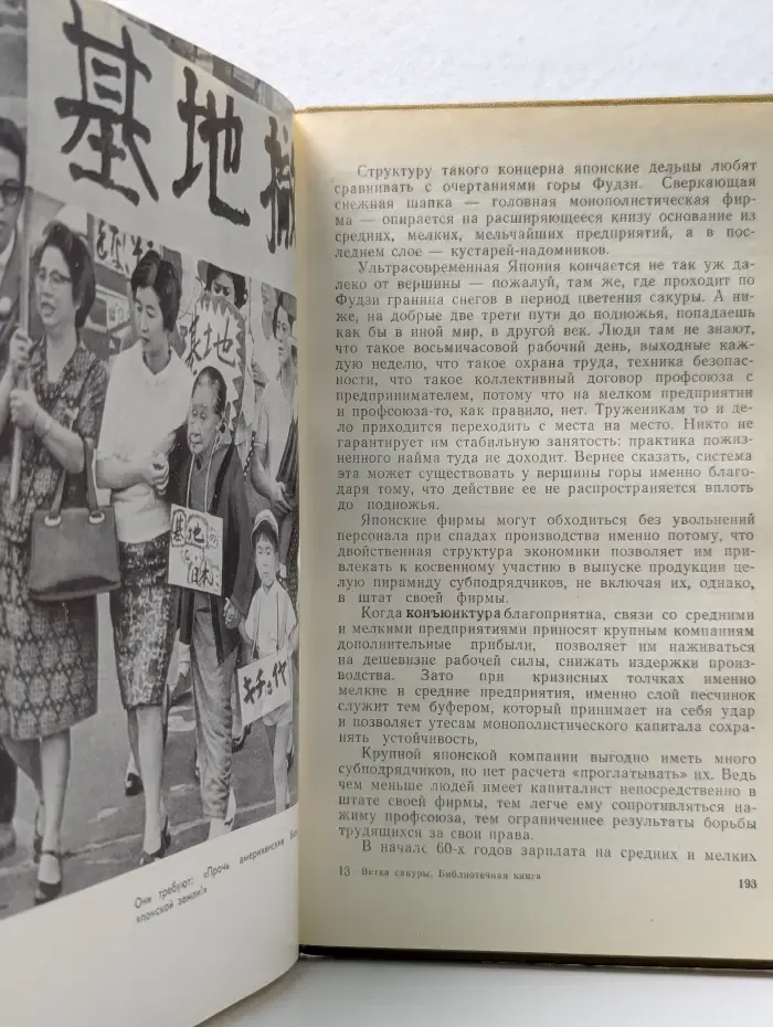 Ветка сакуры