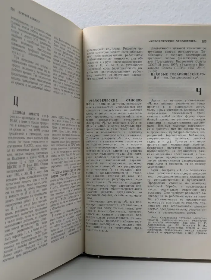 Трудовое право. Энциклопедический словарь