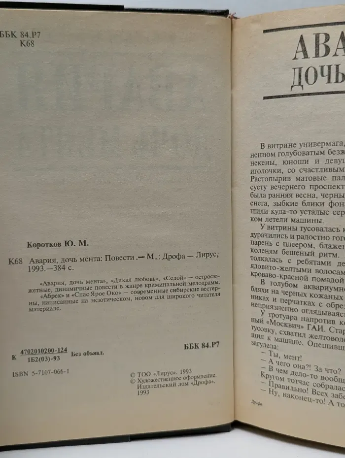Авария, дочь мента