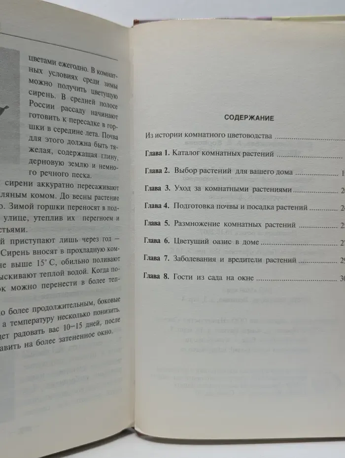 Чудо-хозяйка. Цветы на подоконнике