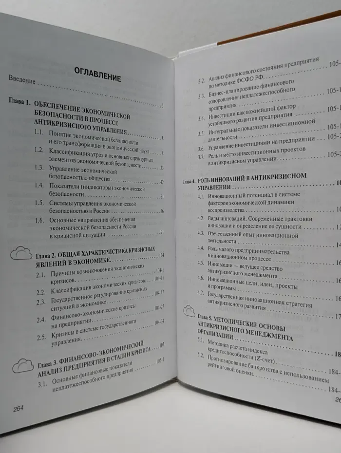 Высшее образование. Бакалавриат. Антикризисное управление