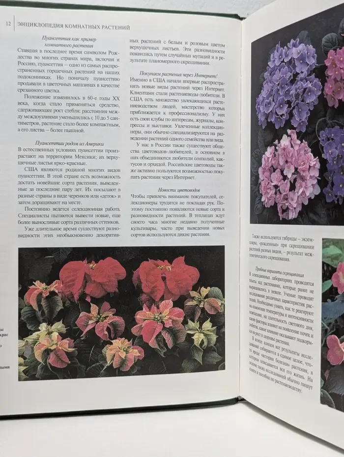 Энциклопедия комнатных растений