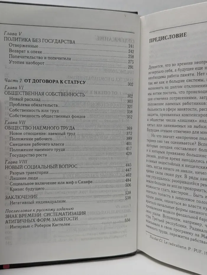 Gallicinium. Метаморфозы социального вопроса. Хроника наёмного труда