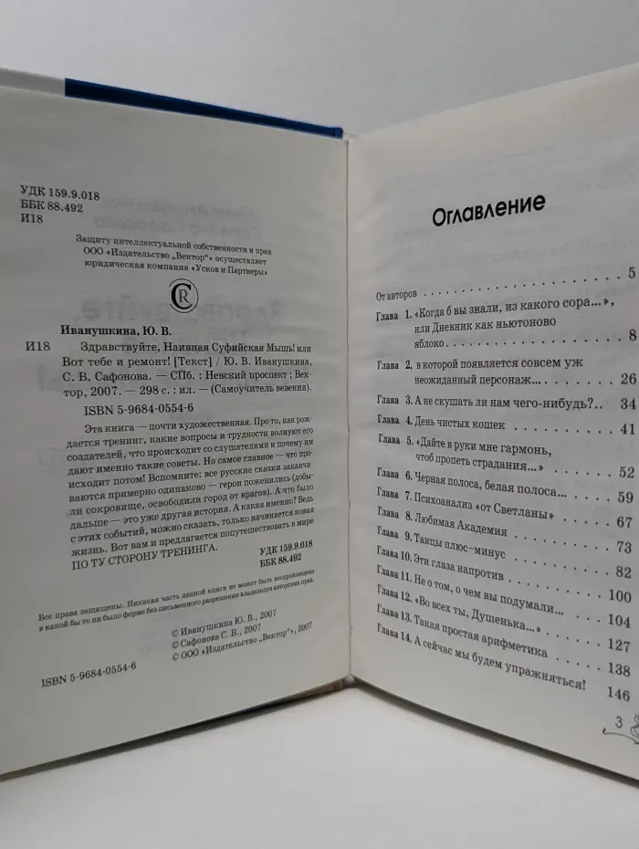 Самоучитель везения. Здравствуйте, Наивная Суфийская Мышь! или Вот тебе и ремонт!