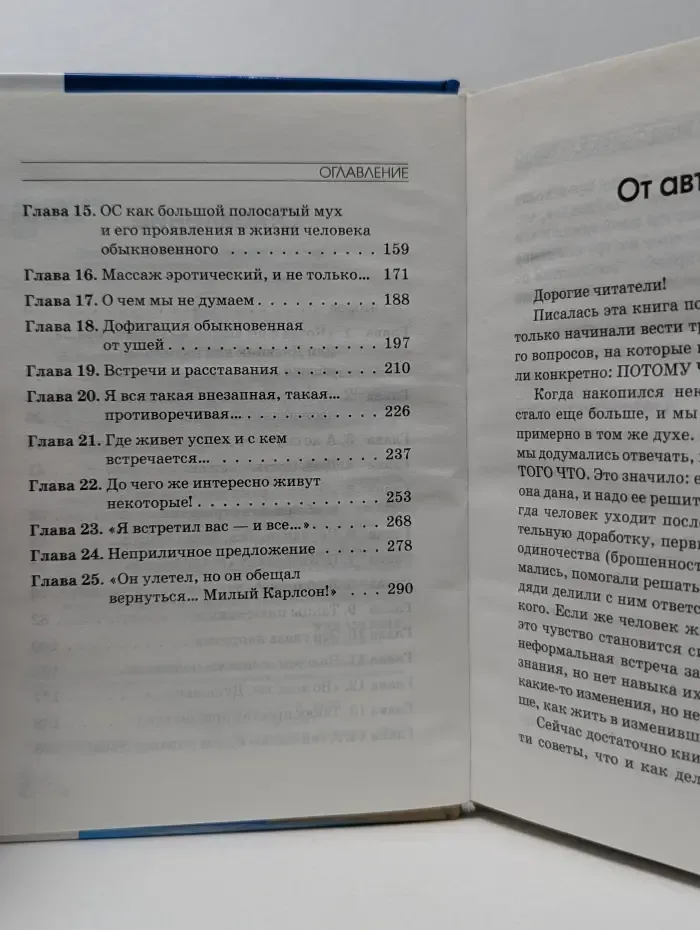 Самоучитель везения. Здравствуйте, Наивная Суфийская Мышь! или Вот тебе и ремонт!