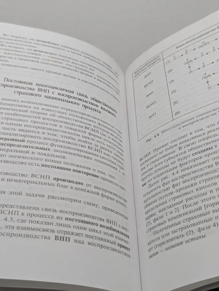 Очерки экономической теории страхования