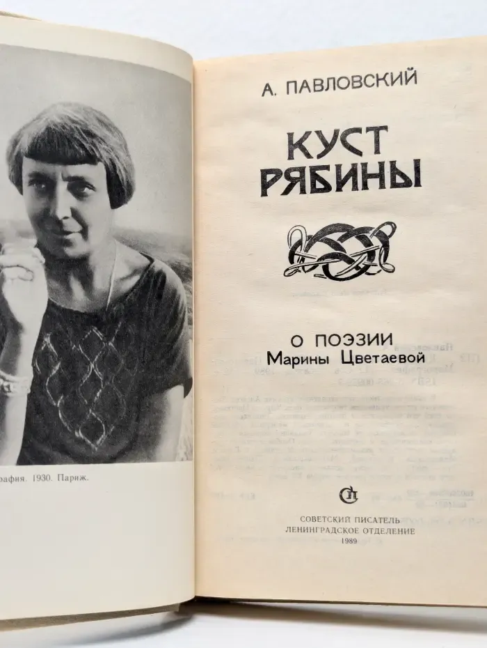 Куст рябины