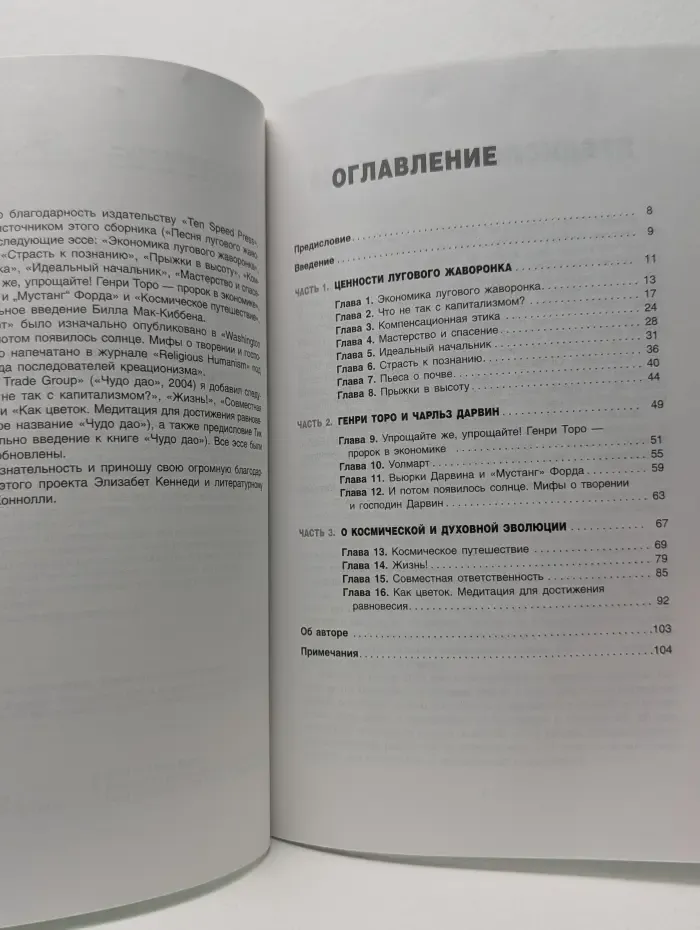 Духовная экономика. Записки экономиста о счастье, успехе, процветании