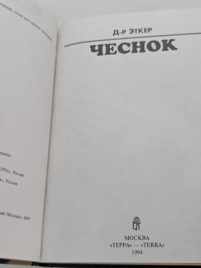 Чеснок