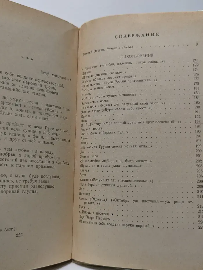Школьная библиотека. Евгений Онегин. Стихотворения