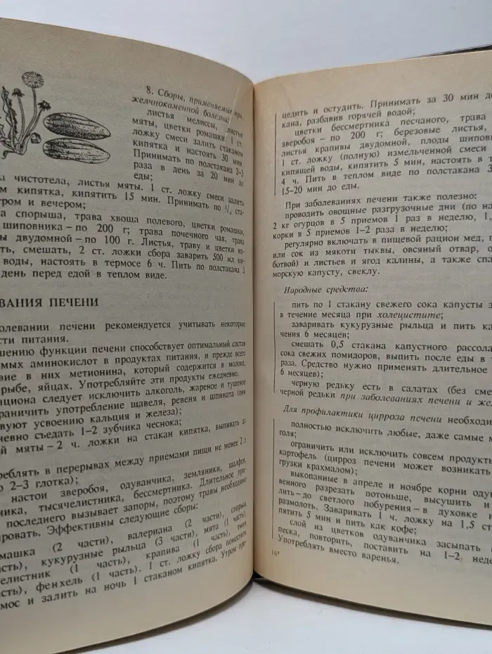Энциклопедия здоровья. Молодость до ста лет