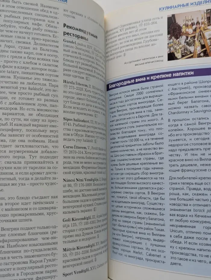 Polyglott. Будапешт. Путеводитель с мини-разговорником