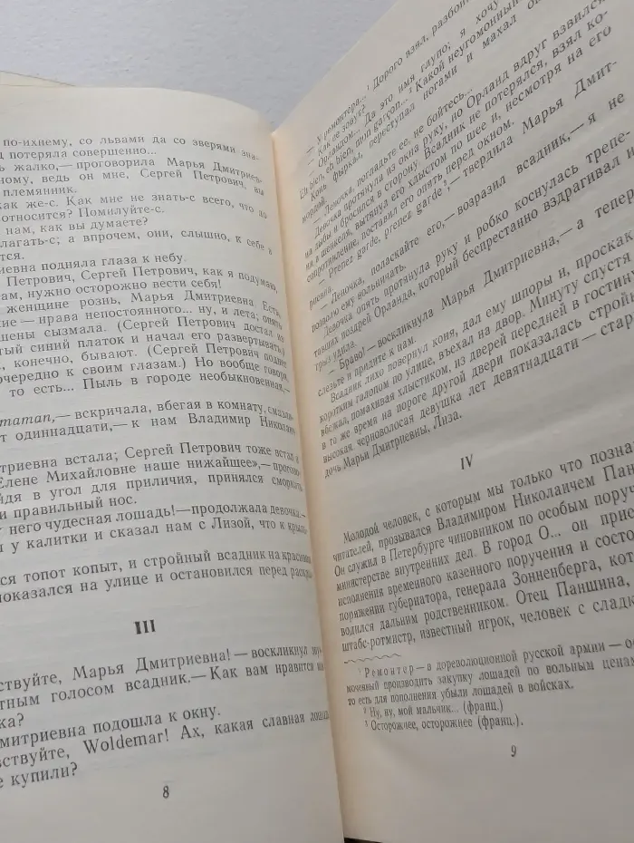 Школьная библиотека. Дворянское гнездо