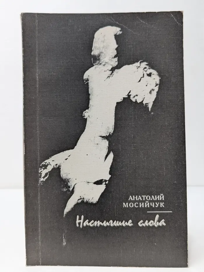 Настигшие слова