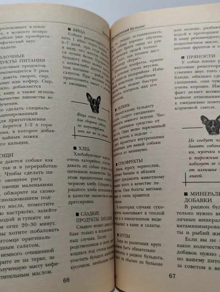 Зооклуб. Французский бульдог