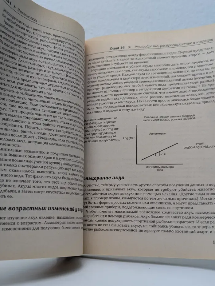 The complete idiot's guide. Акулы