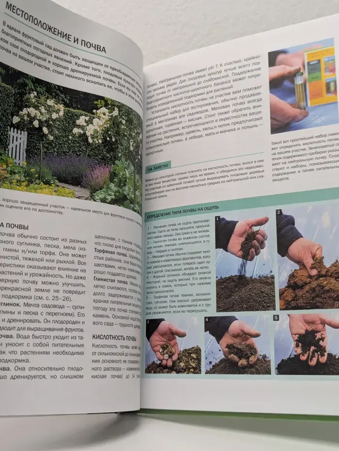 Наш сад. Фруктовый сад. Иллюстрированный справочник
