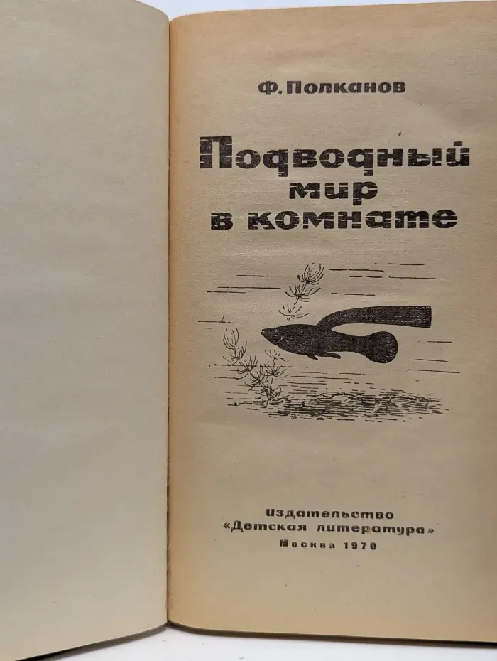 Подводный мир в комнате