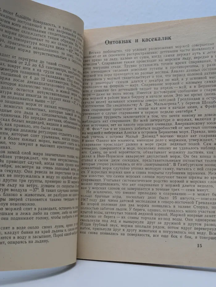 Мир моржа
