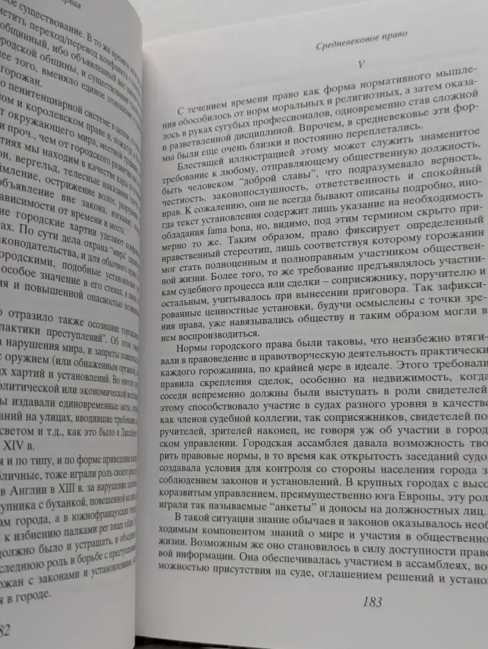 Пиренейские тетради. Право, общество, власть и человек в средние века