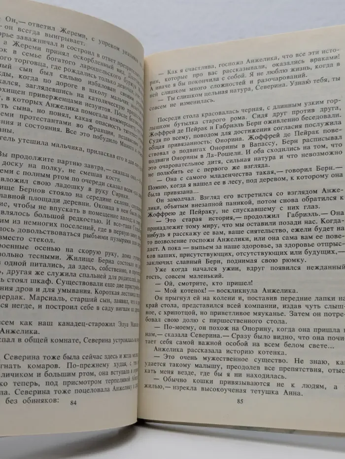 Анжелика и Дьяволица. Роман в 2 книгах. Книга 1
