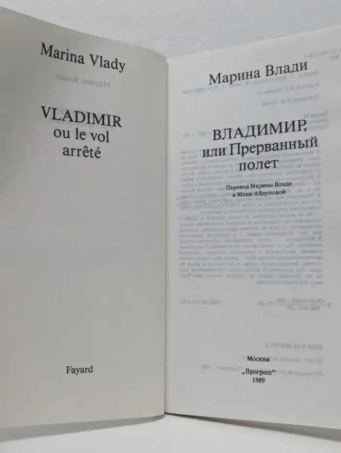Владимир, или Прерванный полет